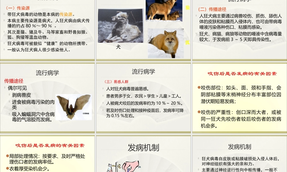 4狂犬病(新).ppt