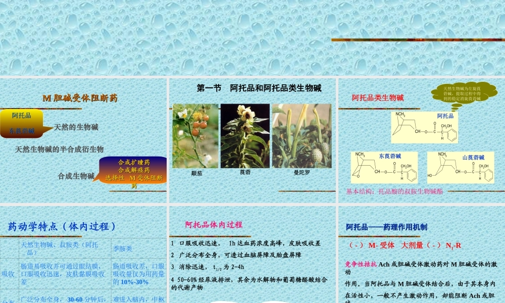 M胆碱受体阻断药(ZHT).ppt