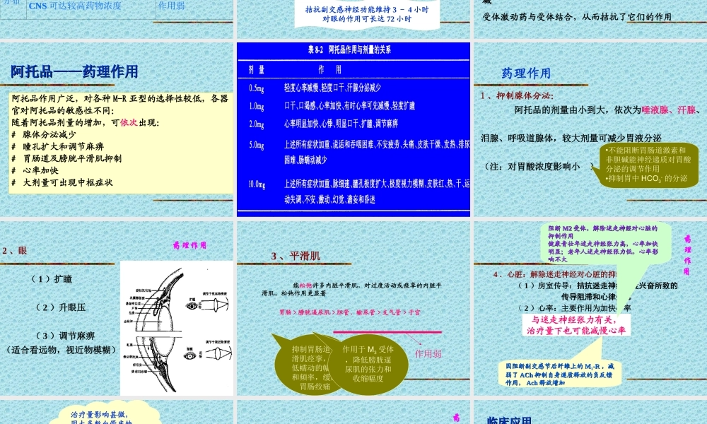 M胆碱受体阻断药(ZHT).ppt