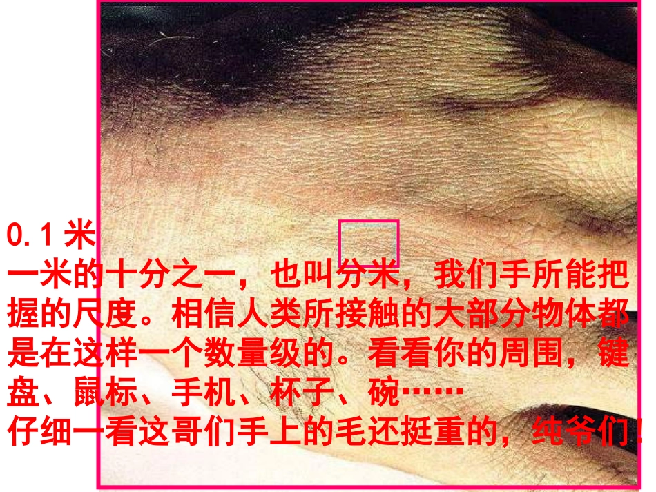 显微镜下看人体.ppt_第2页