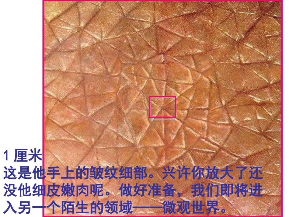 显微镜下看人体.ppt_第3页