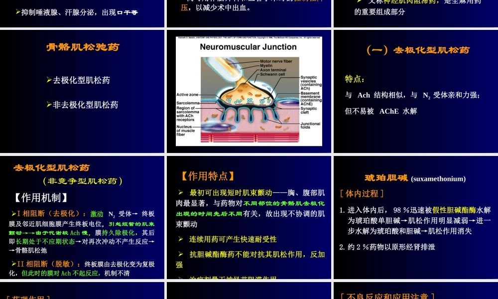 N胆碱受体阻断药.ppt