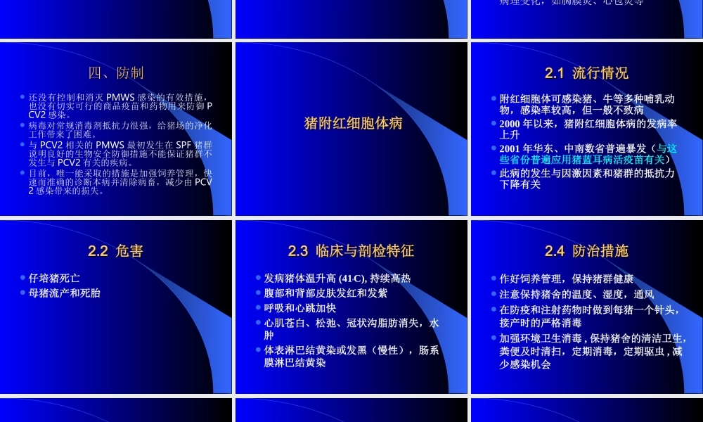 PWMS和猪附红细胞体病.ppt