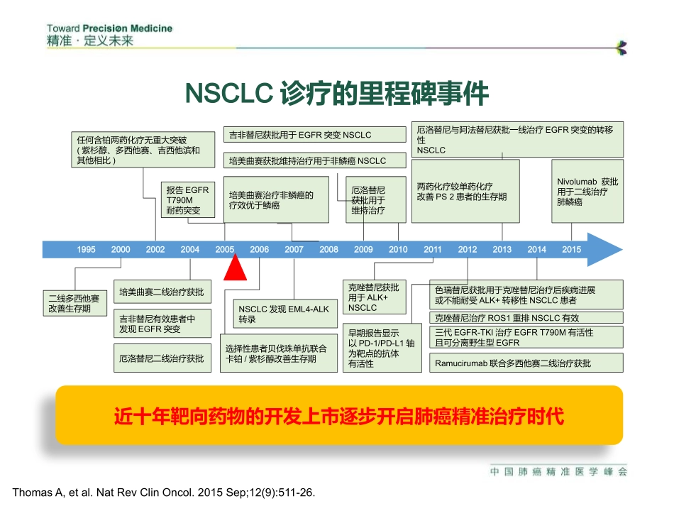 晚期非小细胞肺癌诊疗现状.pptx_第3页