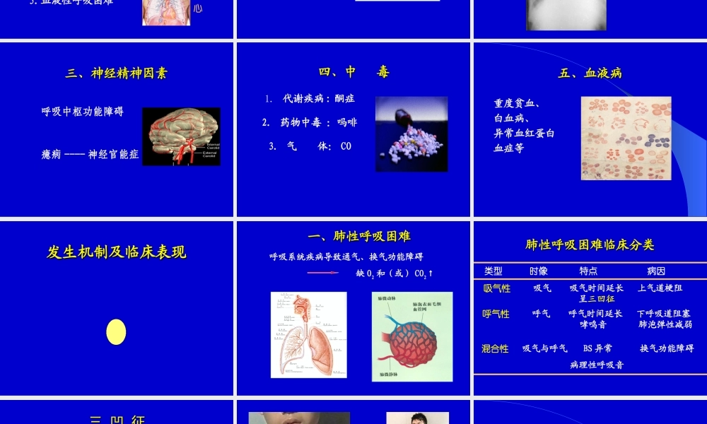 6呼吸困难发绀.ppt
