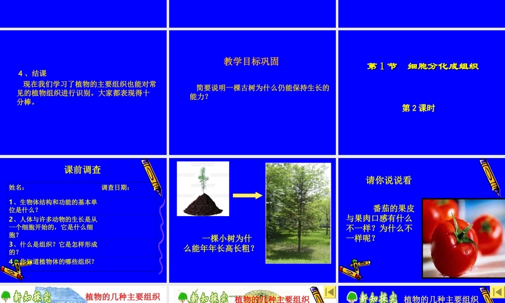 4.2细胞分化形成组织2.ppt