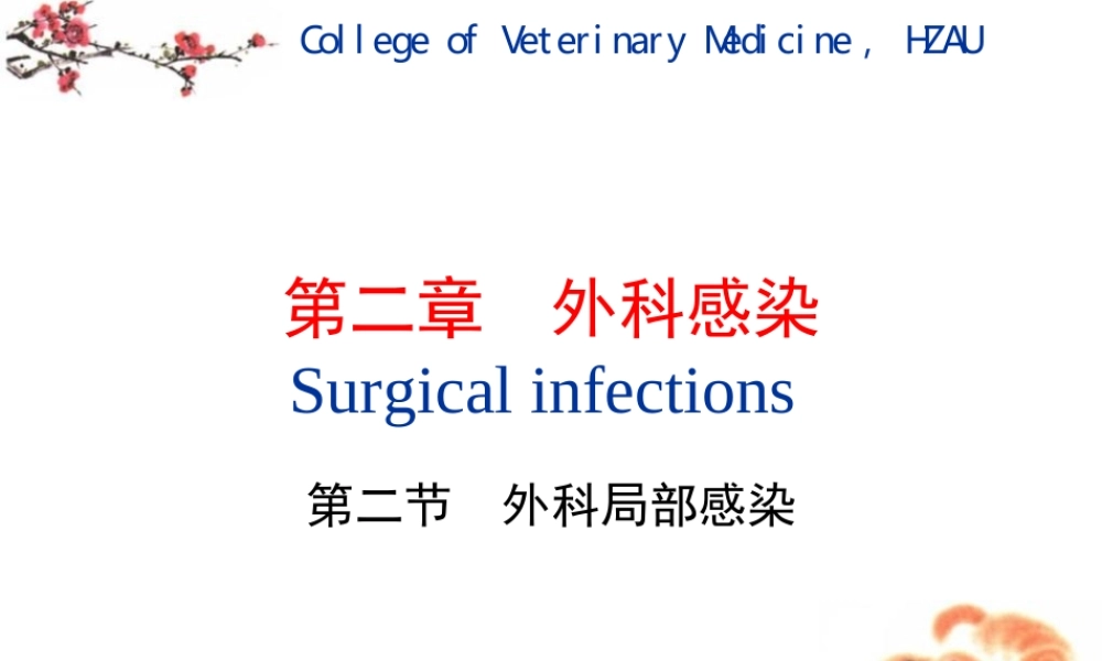 4第二章外科局部感染.ppt