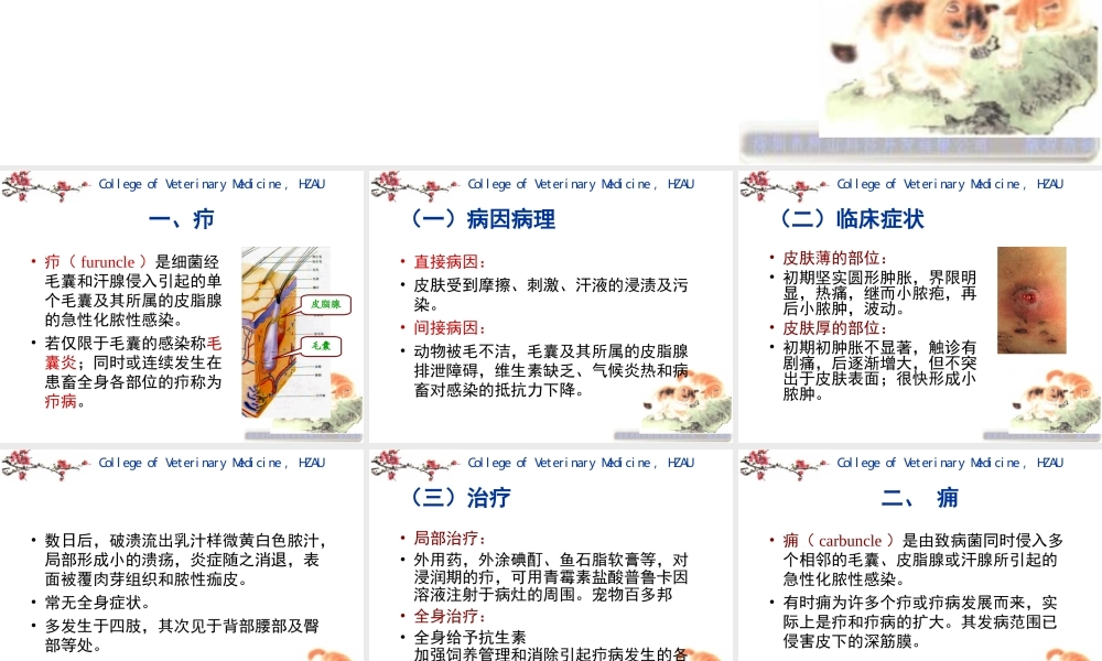 4第二章外科局部感染.ppt