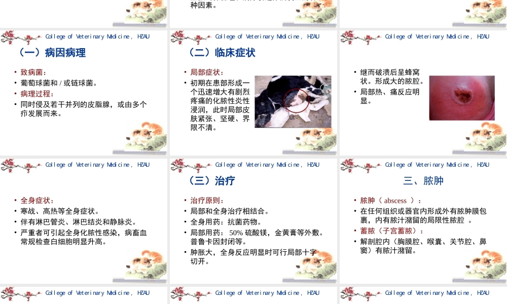 4第二章外科局部感染.ppt