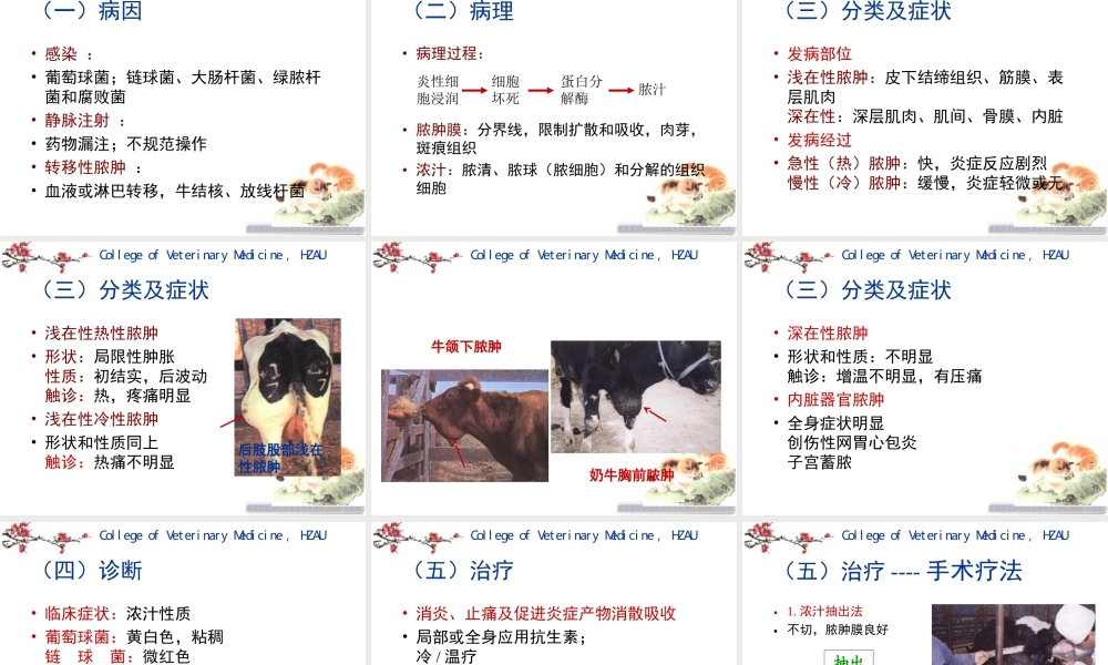 4第二章外科局部感染.ppt