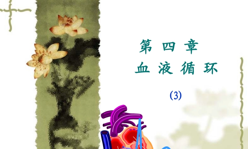 4-3第四章-血液循环.ppt