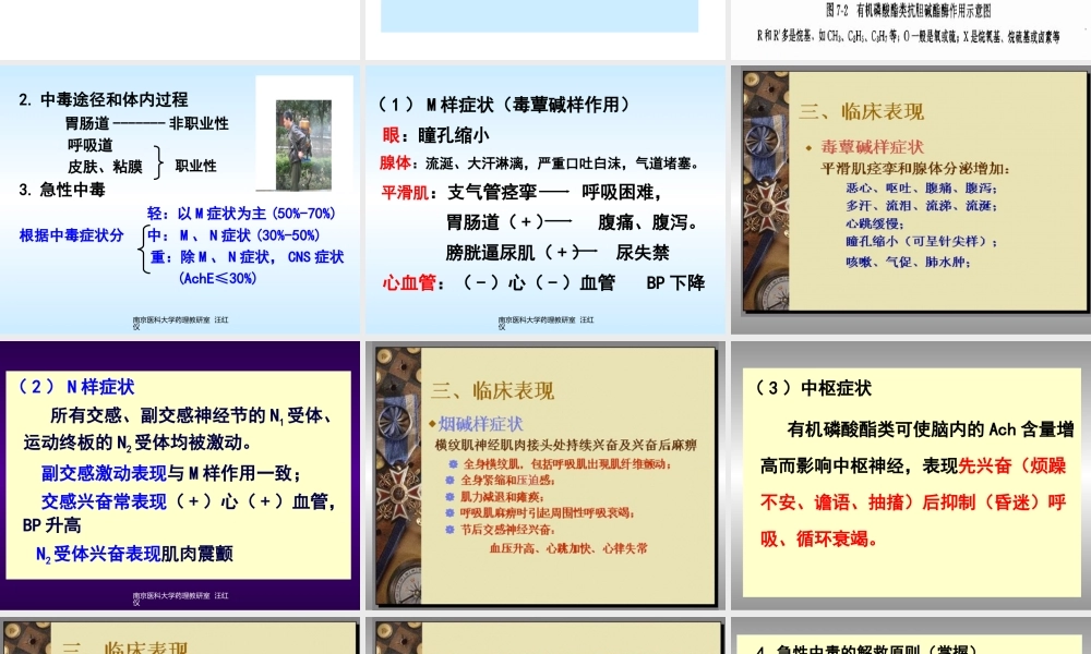 7有机磷农药中毒解救.ppt