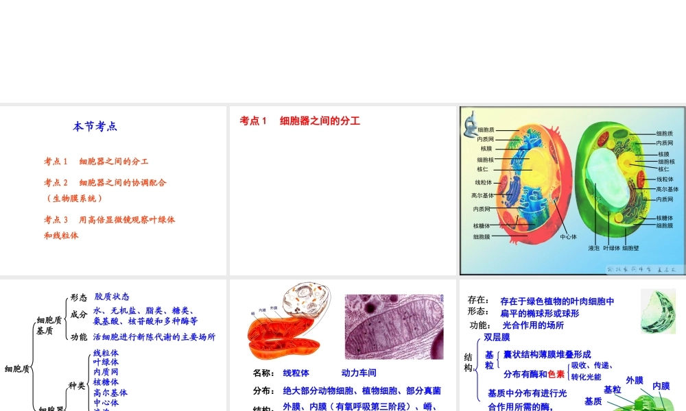 6细胞器——系统内的分工合作.ppt