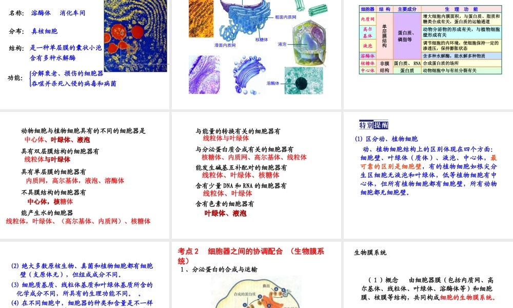 6细胞器——系统内的分工合作.ppt