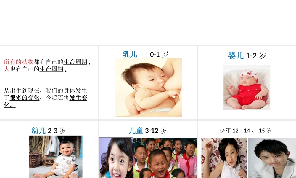 3我们的生命周期ppt.ppt