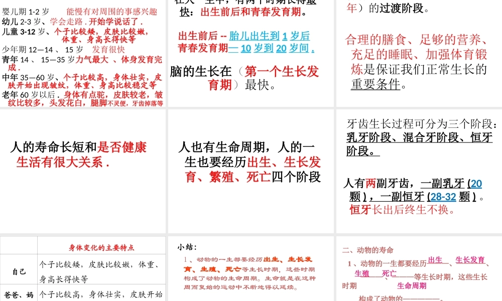 3我们的生命周期ppt.ppt