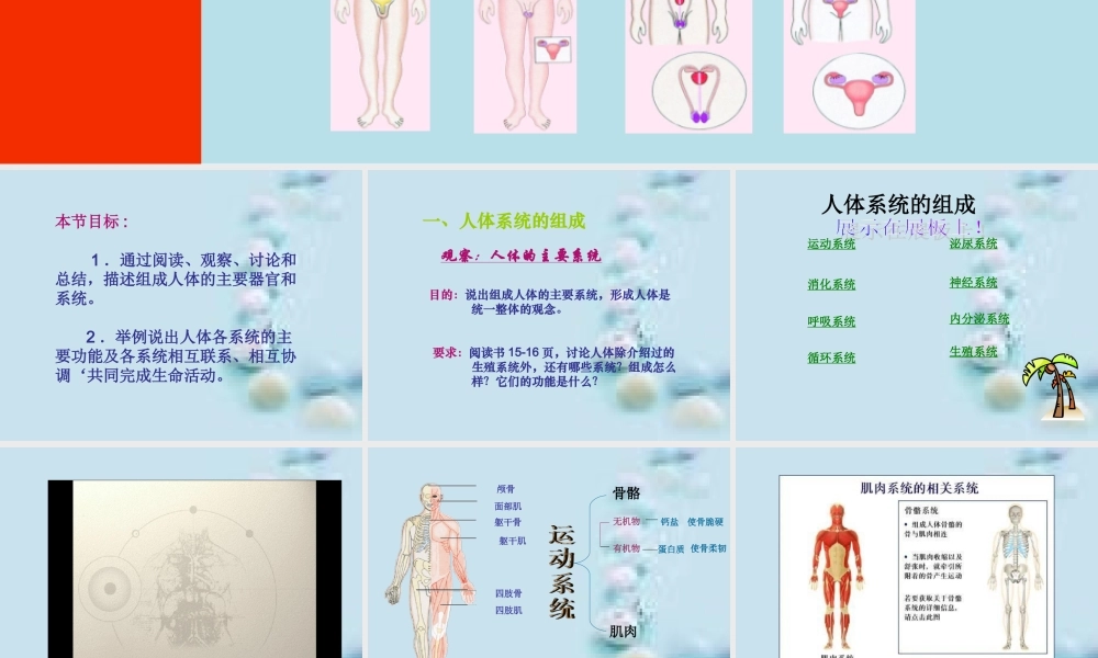8.3人体概述(1).ppt