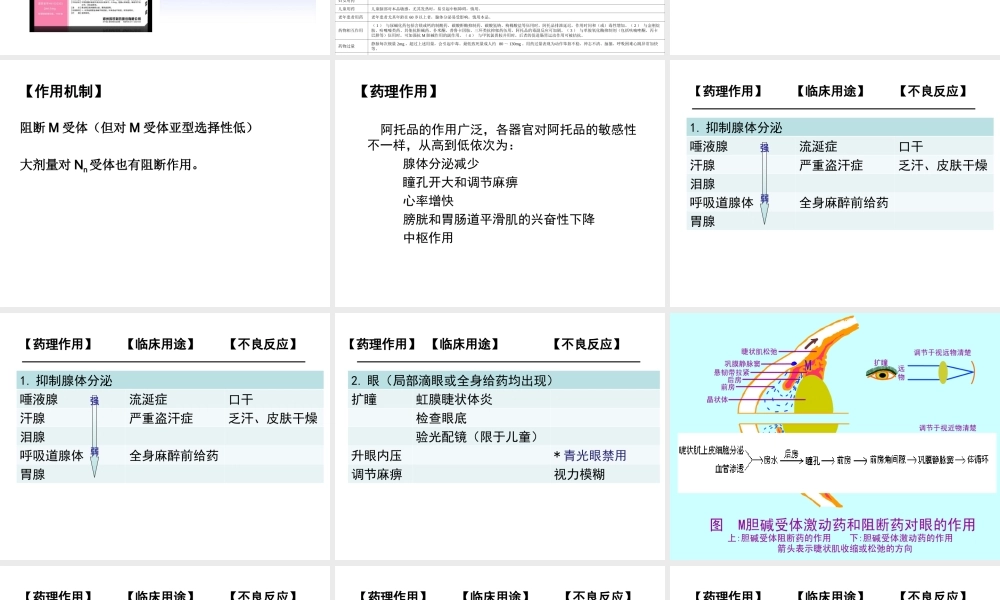 8M胆碱受体阻断药.ppt