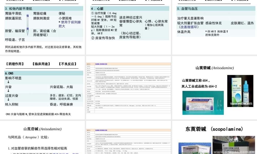 8M胆碱受体阻断药.ppt