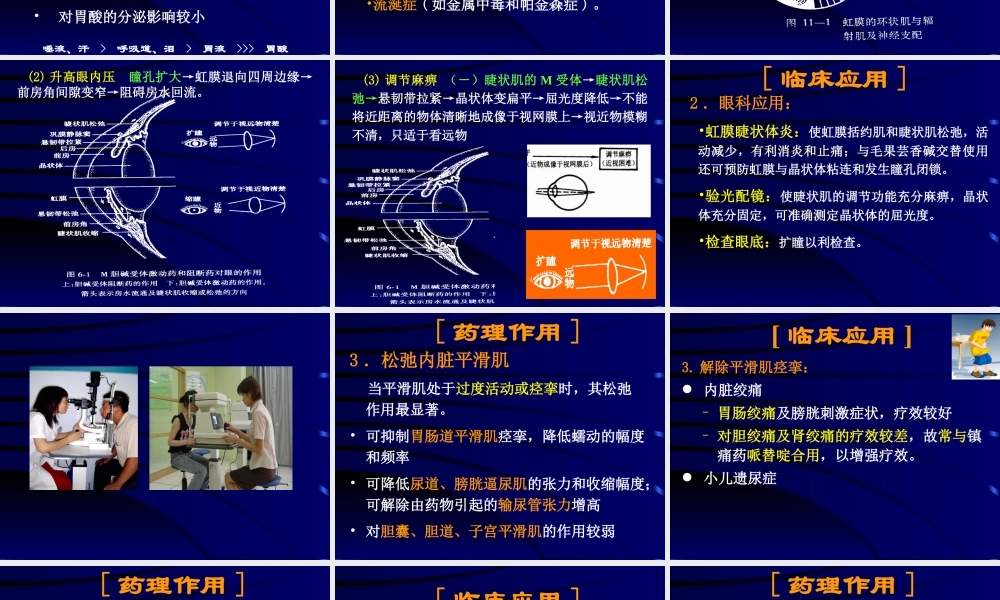 M胆碱受体阻断药.ppt