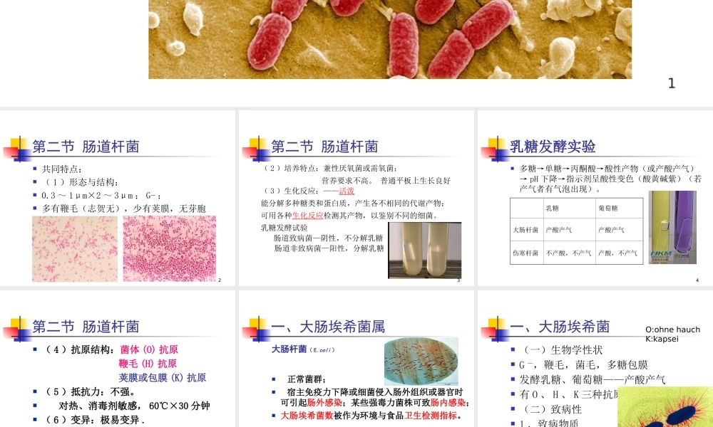 9第五章第二节肠道杆菌.ppt