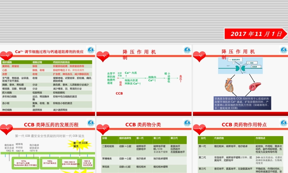 CCB类降压药.ppt