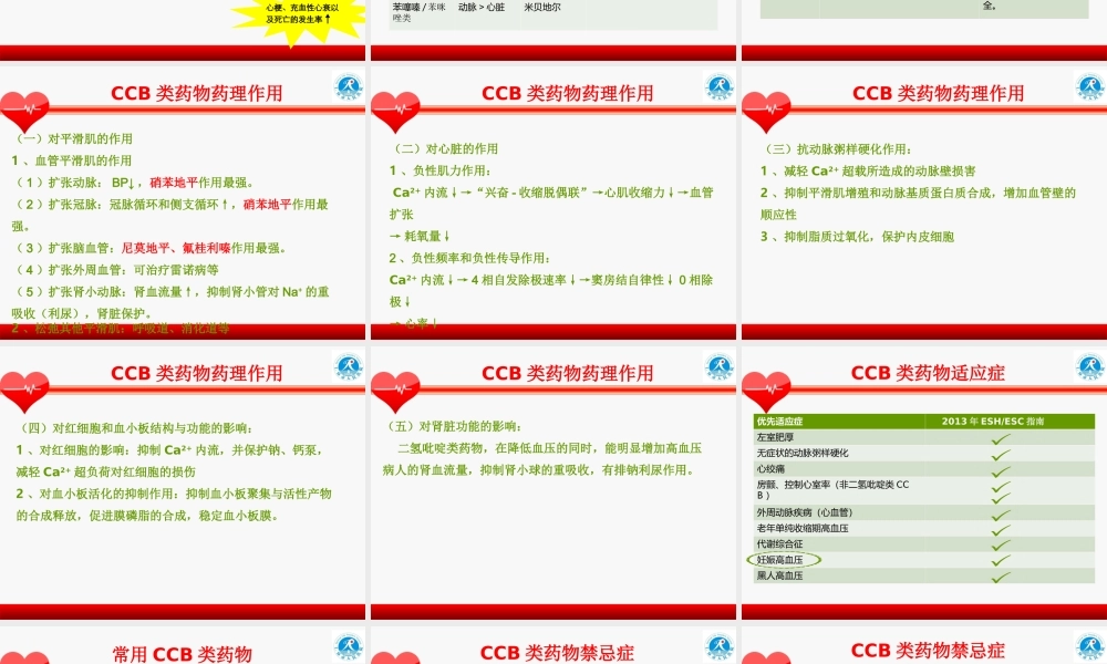 CCB类降压药.ppt