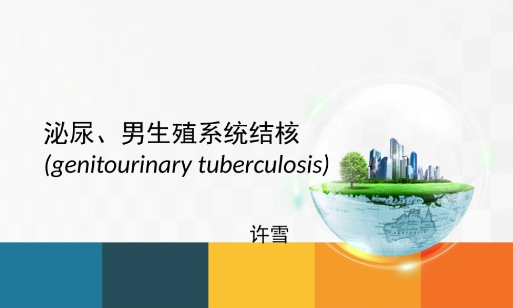 7-31查房-泌尿系结核.ppt