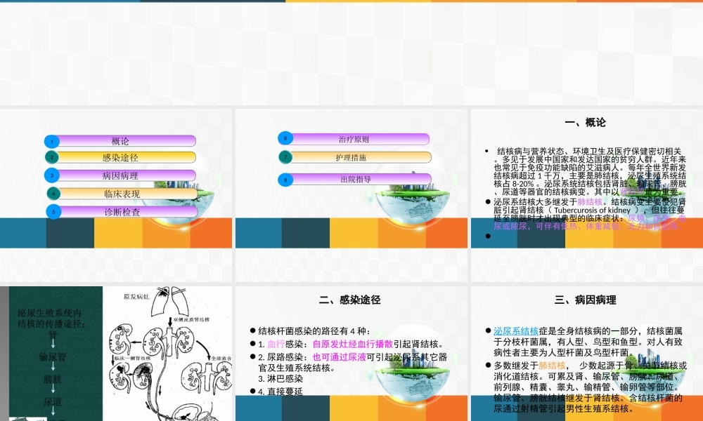 7-31查房-泌尿系结核.ppt