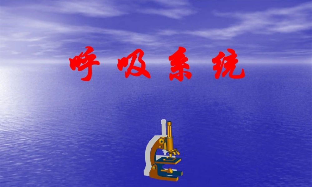 48学时系解-呼吸系统.ppt