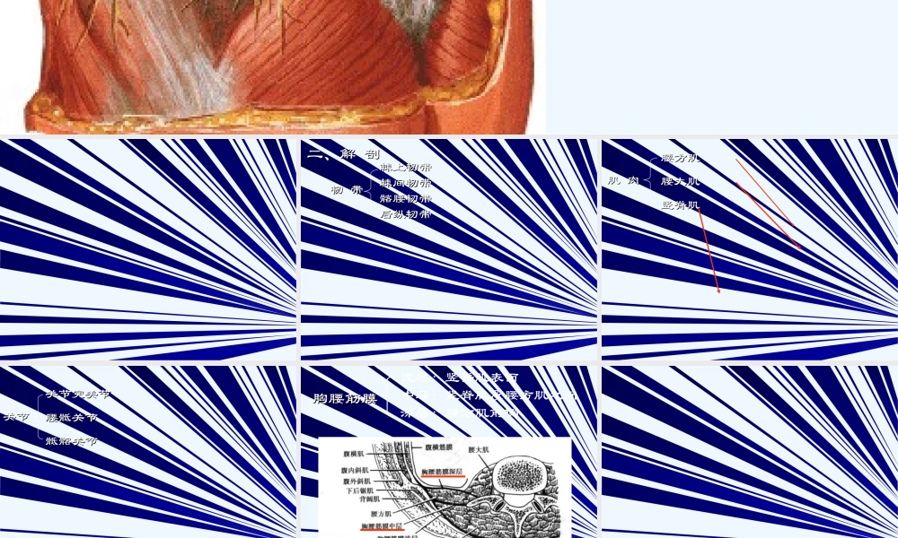 9、急性腰部扭挫伤.ppt