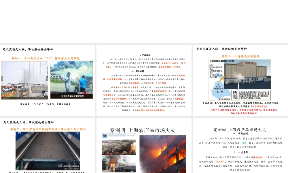 SHE(安全、健康、环保)剖析.ppt