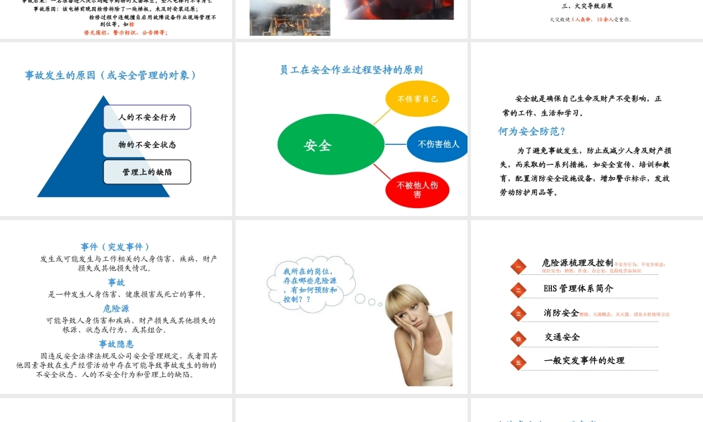 SHE(安全、健康、环保)剖析.ppt