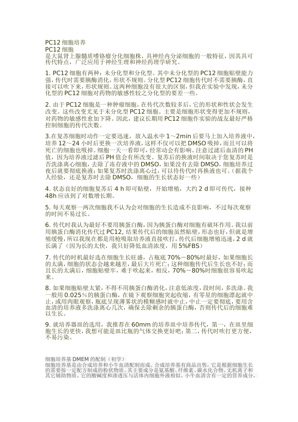 PC12细胞.doc_第1页