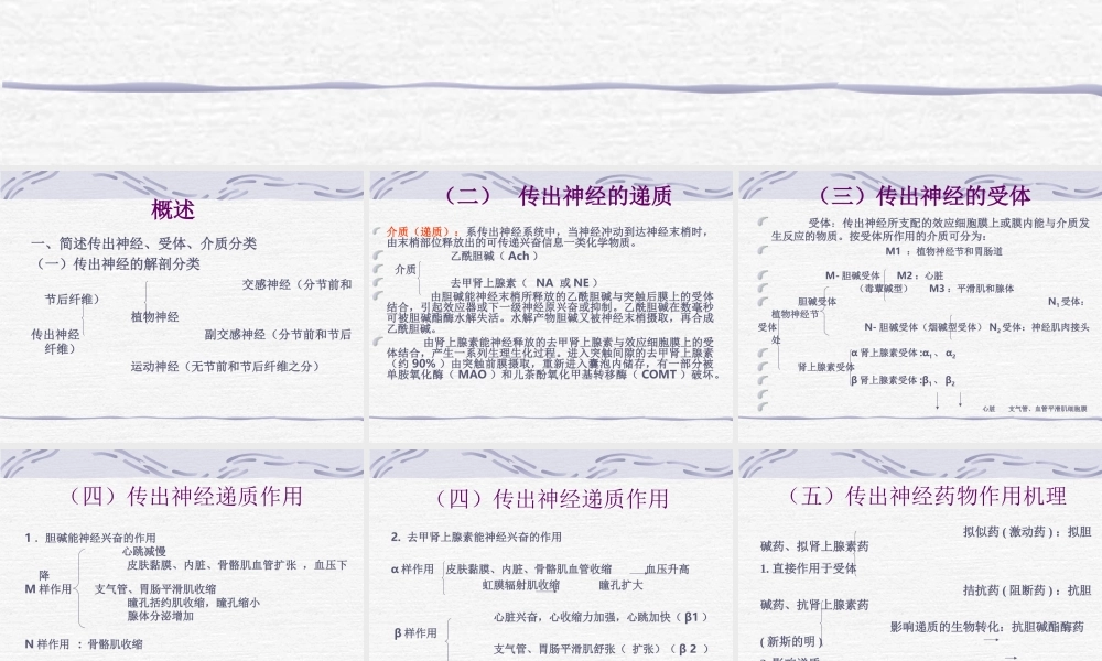 3第二章--外周神经系统药理..ppt