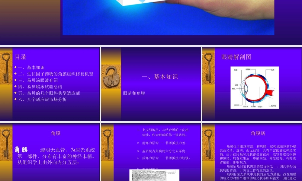 3易贝滴眼液在眼科的应用.ppt