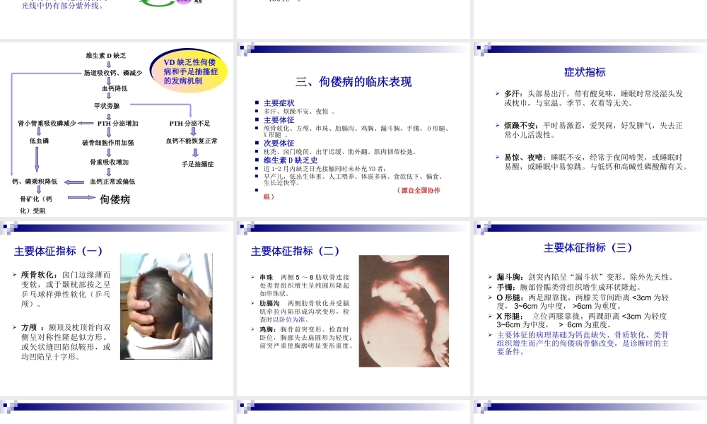 小儿佝偻病发病机制.ppt