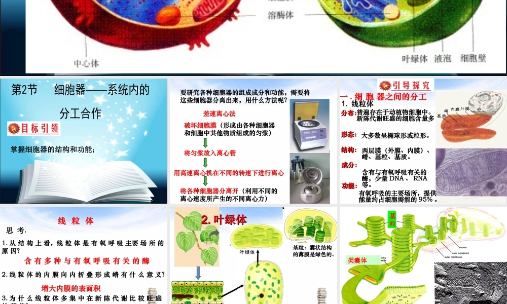 一轮复习—细胞器讲义.ppt