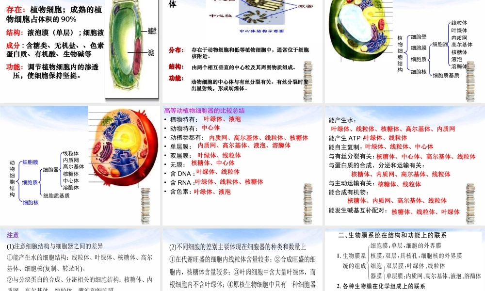 一轮复习—细胞器讲义.ppt