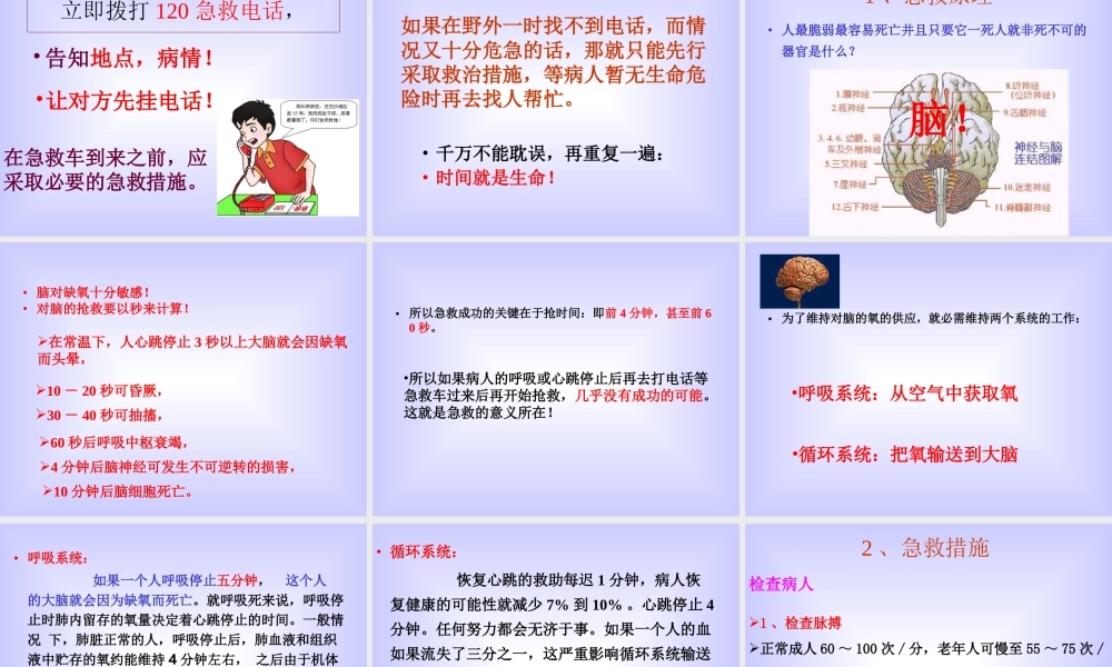 《用药和急救》.ppt