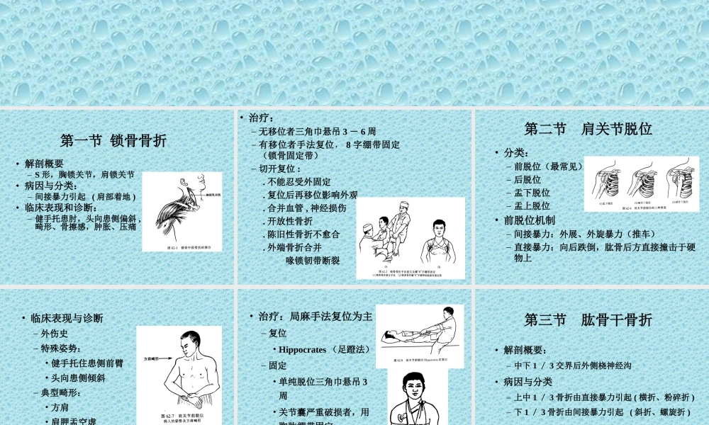 上肢骨、关节损伤.ppt