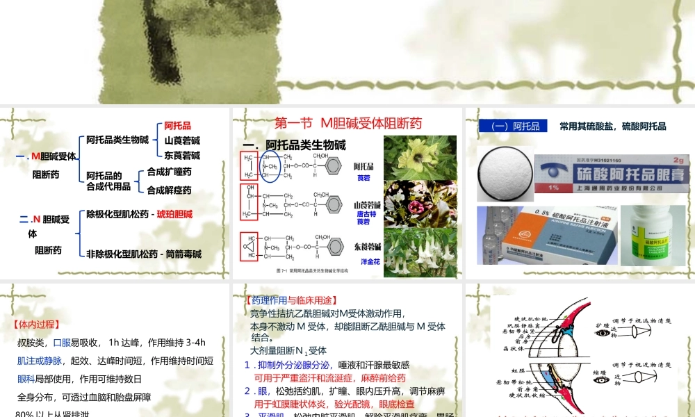 y7.胆碱受体阻断药3.31.ppt