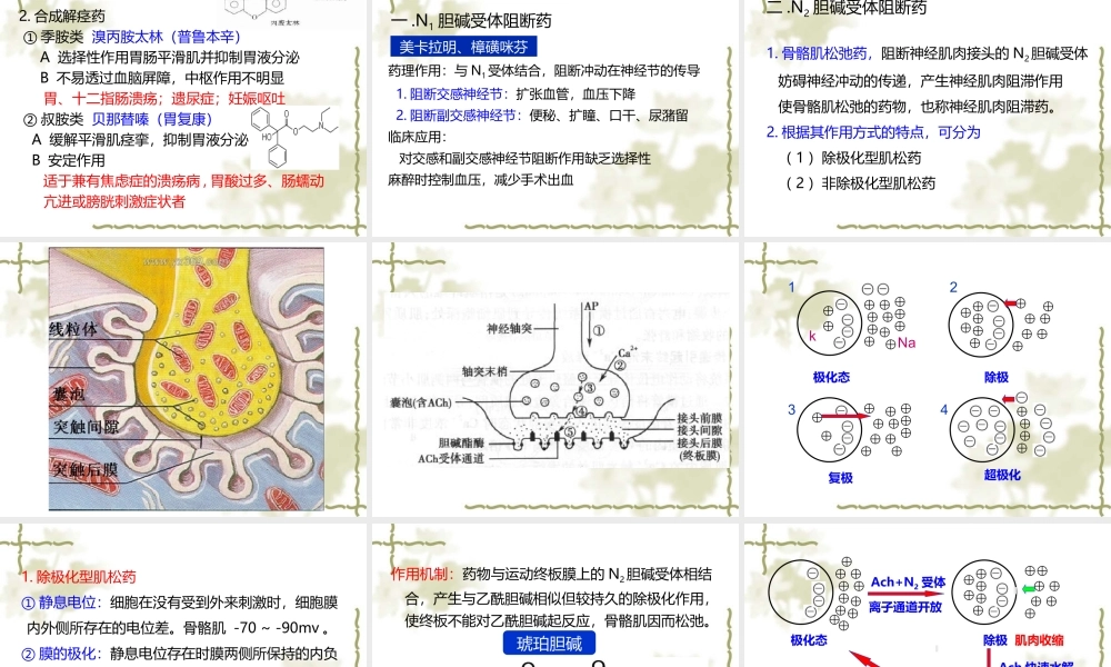 y7.胆碱受体阻断药3.31.ppt