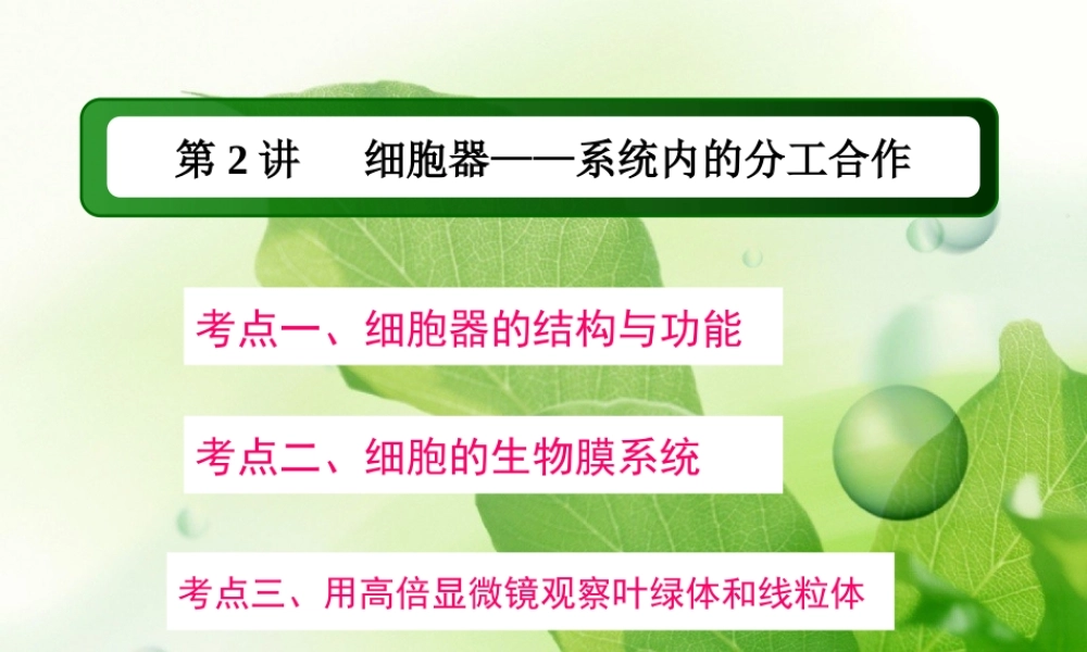 一轮复习细胞器.ppt