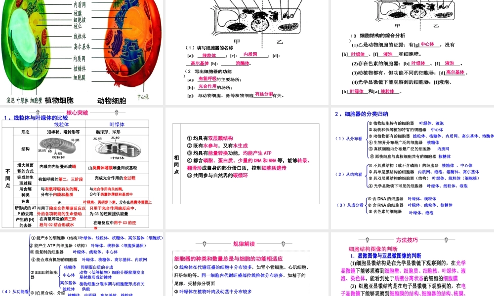 一轮复习细胞器.ppt