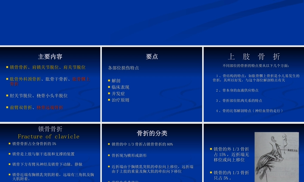 上肢骨关节损伤.ppt