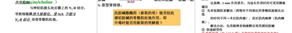 【若风制作】胆碱受体阻断药(五年本).解读.ppt