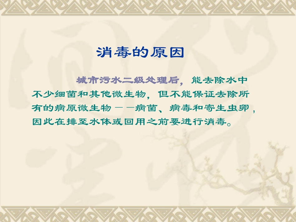 污水处理消毒.ppt_第2页