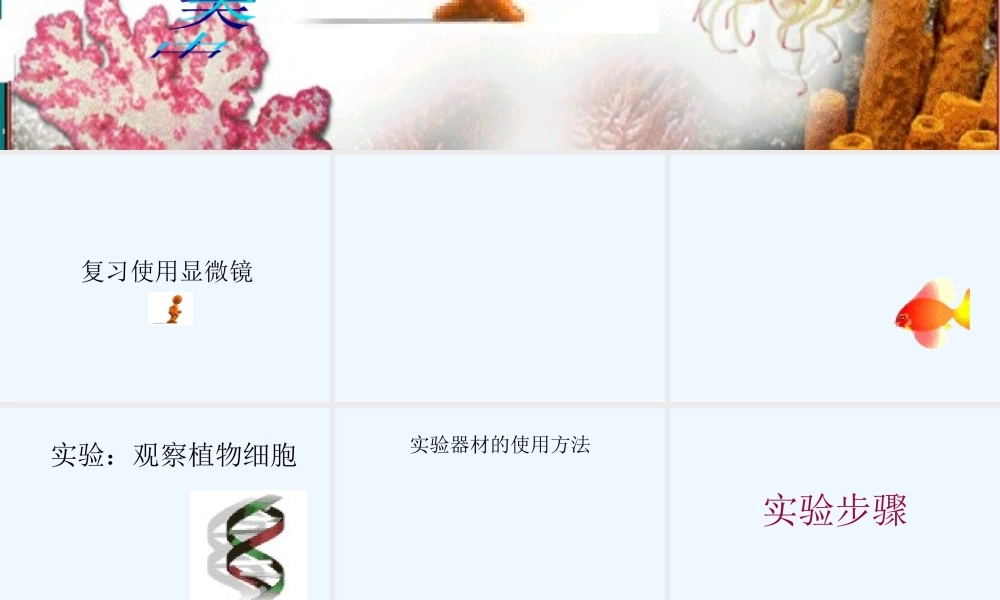 七上二单元一章二节观察植物细胞.ppt