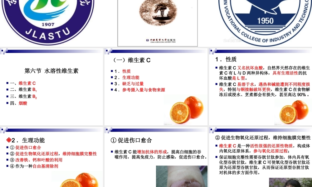 《食品营养与卫生》-第七讲-水溶性维生素-2016测试版.ppt